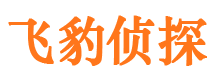 头屯河市婚姻调查